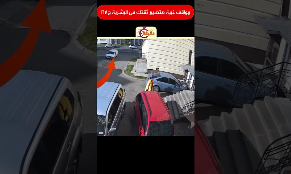 مواقف غبية هتضيع ثقتك فى البشرية ج168