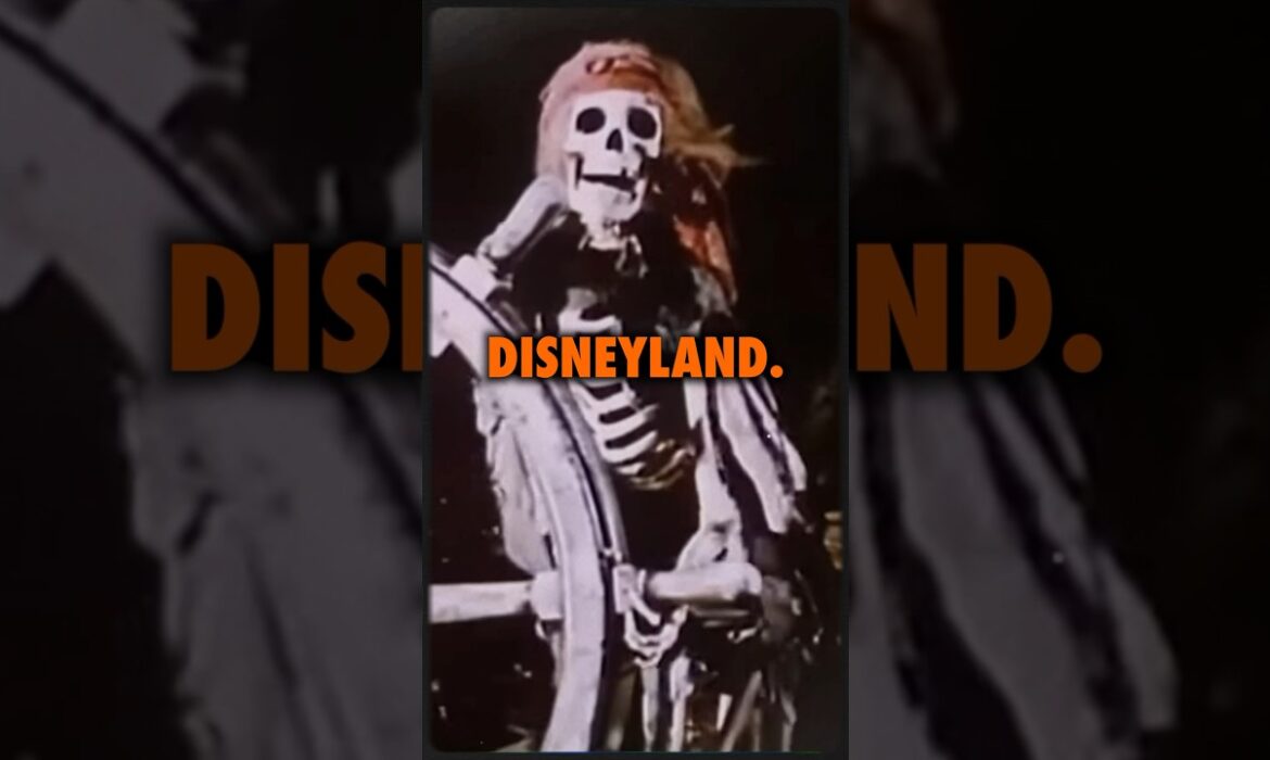 Disney used real human skeletons on their rides! #ninjasarebutterflies #podcast #conspiracy