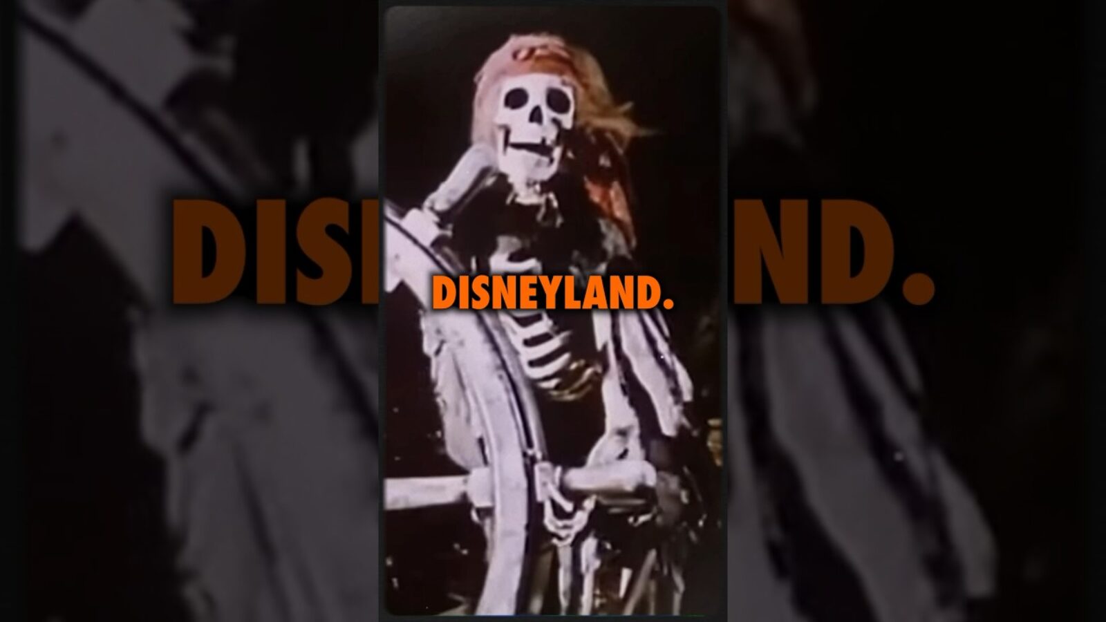 Disney used real human skeletons on their rides! #ninjasarebutterflies #podcast #conspiracy